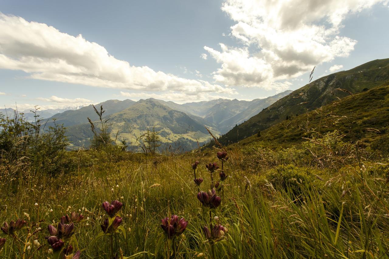 Apartamento Apart Sprenger Fügen im Zillertal Exterior foto